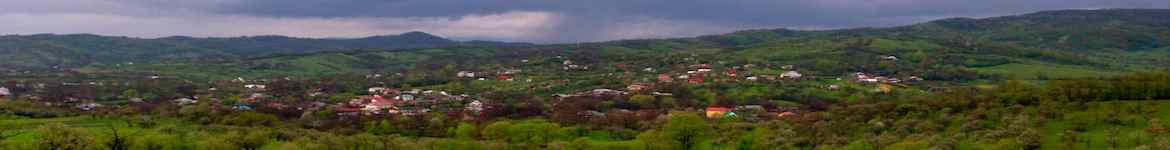 ogretin banner